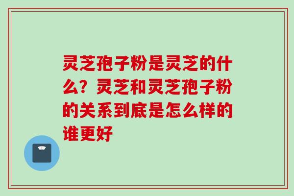 灵芝孢子粉是灵芝的什么？灵芝和灵芝孢子粉的关系到底是怎么样的谁更好