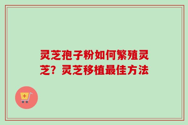 灵芝孢子粉如何繁殖灵芝?灵芝移植佳方法 灵芝孢子粉如何繁殖灵芝?灵芝移植佳方法