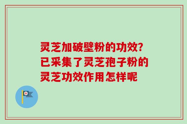 灵芝加破壁粉的功效？已采集了灵芝孢子粉的灵芝功效作用怎样呢