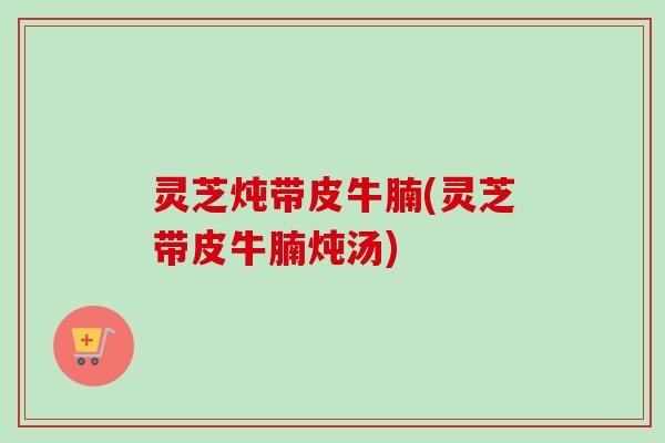 灵芝炖带皮牛腩(灵芝带皮牛腩炖汤)