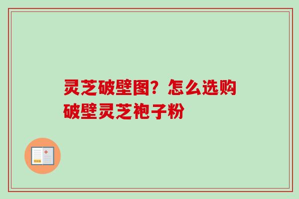 灵芝破壁图?怎么选购破壁灵芝袍子粉 灵芝破壁图?怎么选购破壁灵芝袍子粉