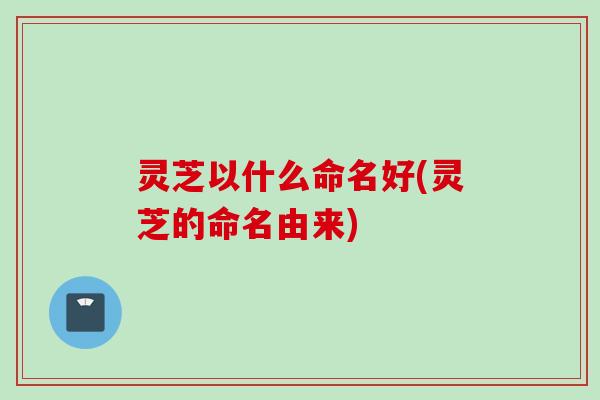 灵芝以什么命名好(灵芝的命名由来)