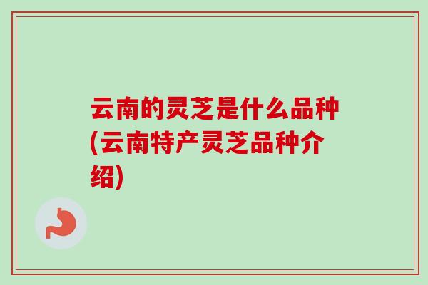云南的灵芝是什么品种(云南特产灵芝品种介绍)