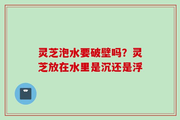 灵芝泡水要破壁吗？灵芝放在水里是沉还是浮