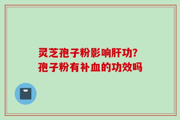灵芝孢子粉影响肝功？孢子粉有补血的功效吗