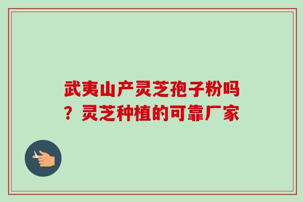武夷山产灵芝孢子粉吗？灵芝种植的可靠厂家
