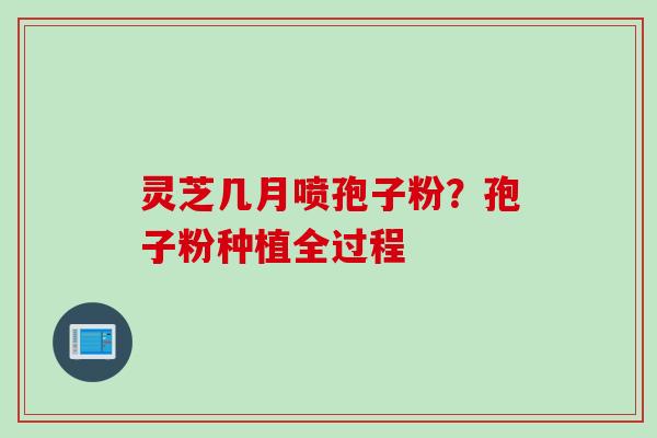 灵芝几月喷孢子粉？孢子粉种植全过程