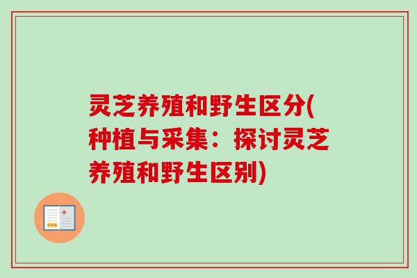 灵芝养殖和野生区分(种植与采集：探讨灵芝养殖和野生区别)