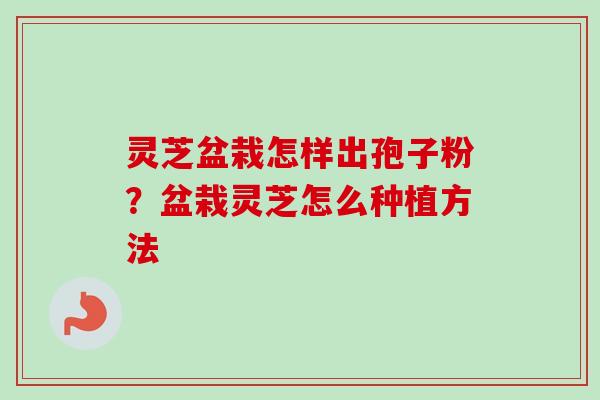 灵芝盆栽怎样出孢子粉?盆栽灵芝怎么种植方法 灵芝盆栽怎样出孢子粉?盆栽灵芝怎么种植方法