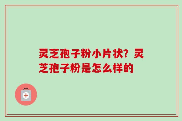 灵芝孢子粉小片状？灵芝孢子粉是怎么样的
