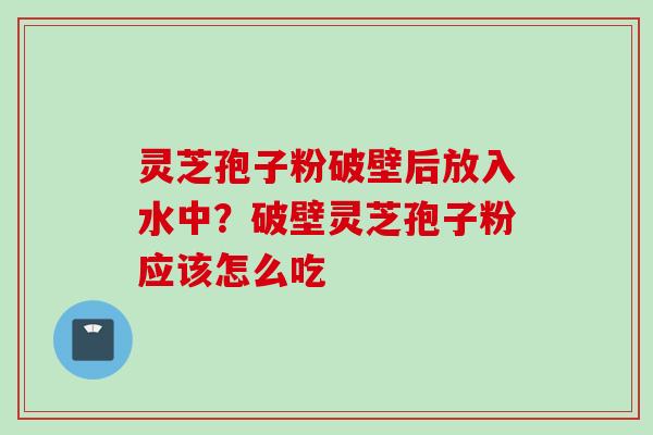 灵芝孢子粉破壁后放入水中？破壁灵芝孢子粉应该怎么吃