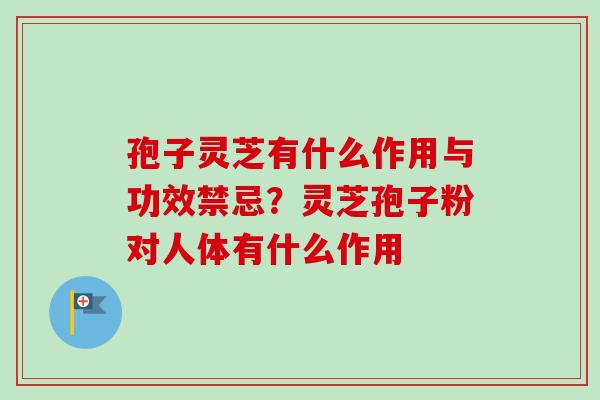 孢子灵芝有什么作用与功效禁忌?灵芝孢子粉对人体有什么作用 孢子灵芝有什么作用与功效禁忌?灵芝孢子粉对人体有什么作用