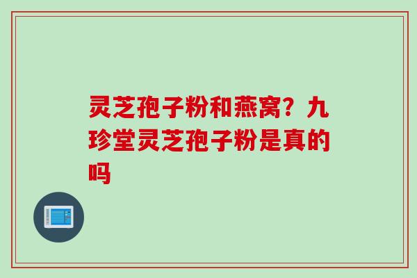 灵芝孢子粉和燕窝？九珍堂灵芝孢子粉是真的吗