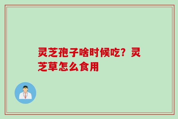 灵芝孢子啥时候吃？灵芝草怎么食用