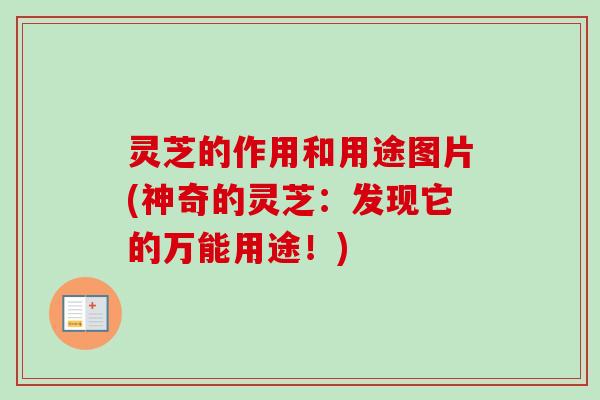 灵芝的作用和用途图片(神奇的灵芝：发现它的万能用途！)
