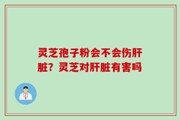 灵芝孢子粉会不会伤肝脏？灵芝对肝脏有害吗