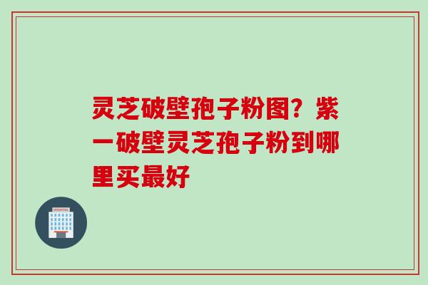 灵芝破壁孢子粉图?紫一破壁灵芝孢子粉到哪里买好 灵芝破壁孢子粉图?紫一破壁灵芝孢子粉到哪里买好