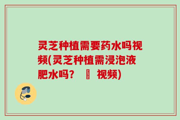 灵芝种植需要药水吗视频(灵芝种植需浸泡液肥水吗？ – 视频)