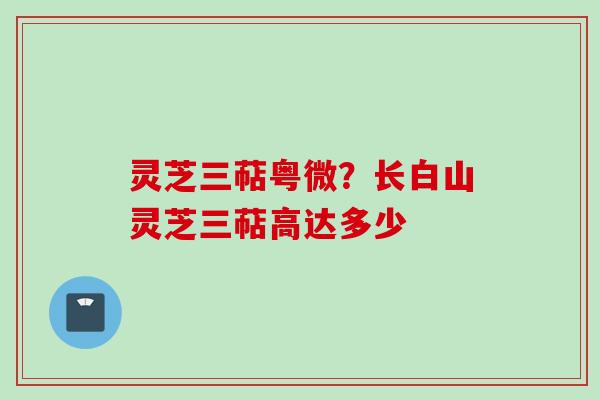 灵芝三萜粤微?长白山灵芝三萜高达多少 灵芝三萜粤微?长白山灵芝三萜高达多少