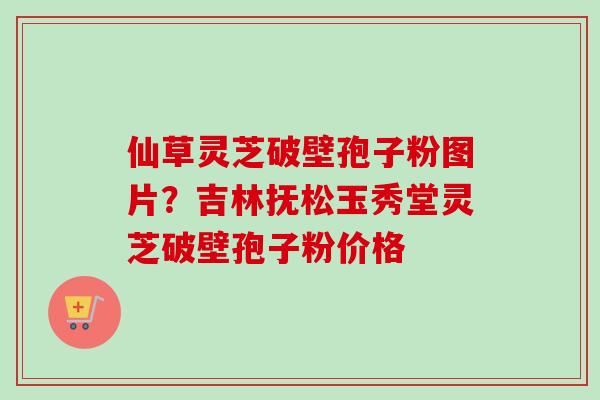 仙草灵芝破壁孢子粉图片？吉林抚松玉秀堂灵芝破壁孢子粉价格