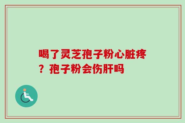 喝了灵芝孢子粉心脏疼？孢子粉会伤肝吗
