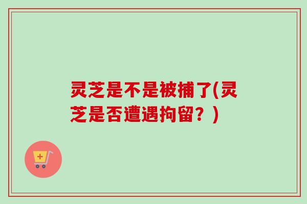 灵芝是不是被捕了(灵芝是否遭遇拘留？)