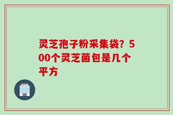 灵芝孢子粉采集袋？500个灵芝菌包是几个平方