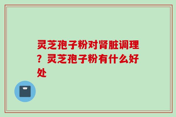 灵芝孢子粉对肾脏调理？灵芝孢子粉有什么好处