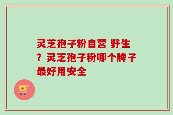 灵芝孢子粉自营 野生？灵芝孢子粉哪个牌子最好用安全