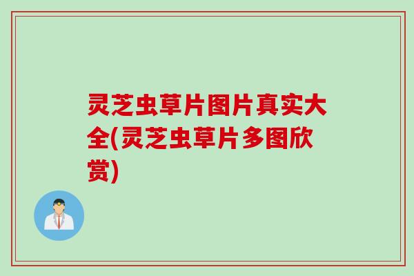 灵芝虫草片图片真实大全(灵芝虫草片多图欣赏) 灵芝虫草片图片真实大全(灵芝虫草片多图欣赏)