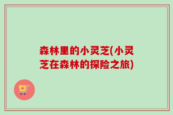 森林里的小灵芝(小灵芝在森林的探险之旅)