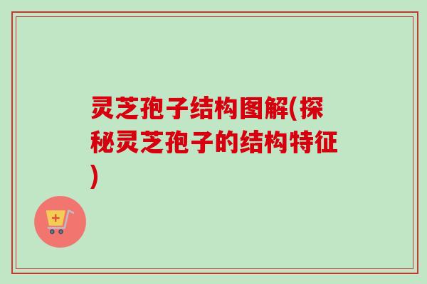 灵芝孢子结构图解(探秘灵芝孢子的结构特征)