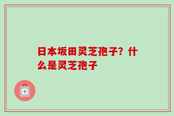 日本坂田灵芝孢子？什么是灵芝孢子
