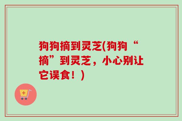 狗狗摘到灵芝(狗狗“摘”到灵芝，小心别让它误食！)