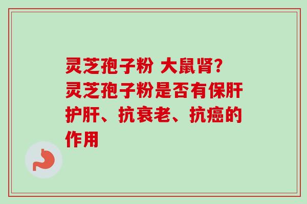 灵芝孢子粉 大鼠肾？灵芝孢子粉是否有保肝护肝、抗衰老、抗癌的作用