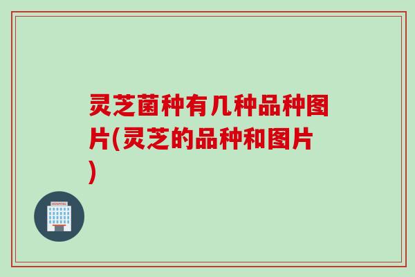 灵芝菌种有几种品种图片(灵芝的品种和图片)