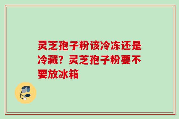 灵芝孢子粉该冷冻还是冷藏？灵芝孢子粉要不要放冰箱