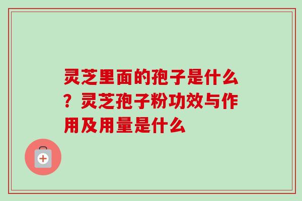 灵芝里面的孢子是什么？灵芝孢子粉功效与作用及用量是什么