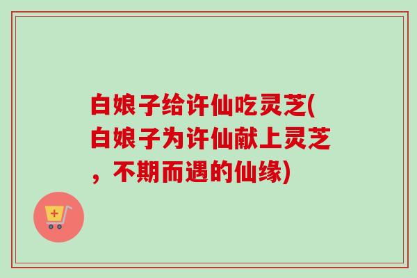 白娘子给许仙吃灵芝(白娘子为许仙献上灵芝，不期而遇的仙缘)