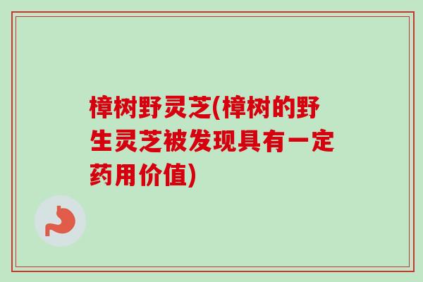 樟树野灵芝(樟树的野生灵芝被发现具有一定药用价值) 樟树野灵芝(樟树的野生灵芝被发现具有一定药用价值)