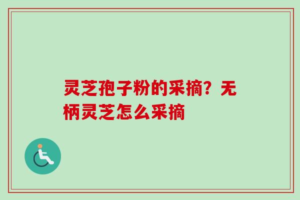 灵芝孢子粉的采摘？无柄灵芝怎么采摘