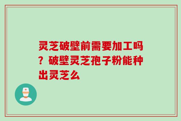 灵芝破壁前需要加工吗？破壁灵芝孢子粉能种出灵芝么