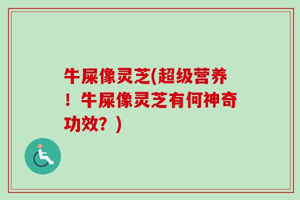 牛屎像灵芝(超级营养！牛屎像灵芝有何神奇功效？)