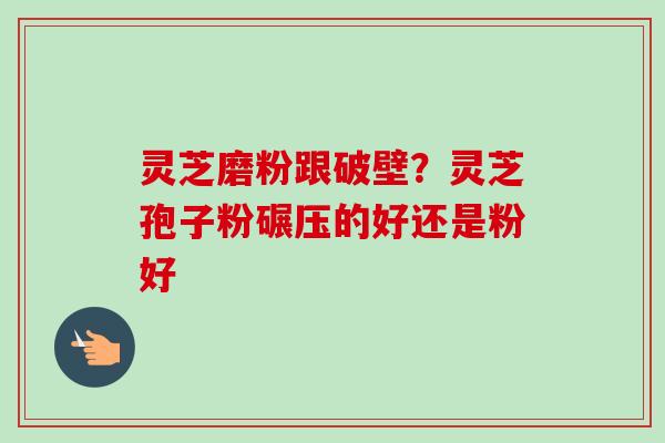 灵芝磨粉跟破壁？灵芝孢子粉碾压的好还是粉好