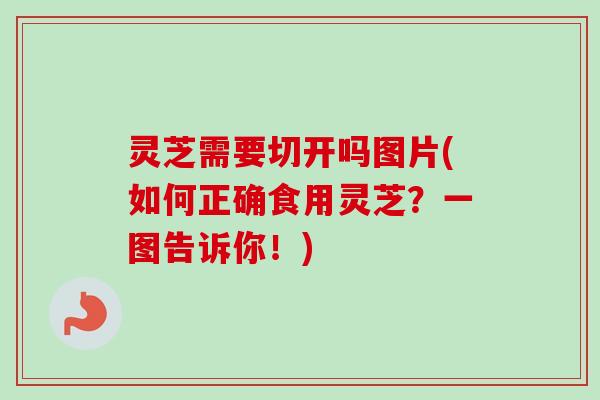 灵芝需要切开吗图片(如何正确食用灵芝？一图告诉你！)