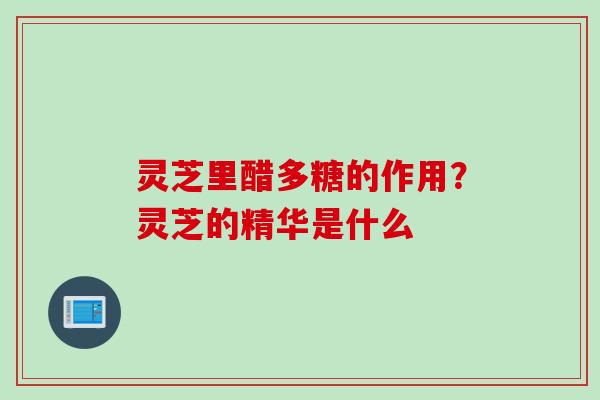 灵芝里醋多糖的作用？灵芝的精华是什么