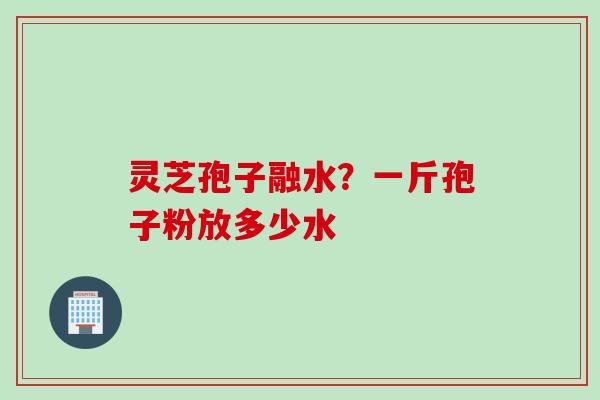 灵芝孢子融水？一斤孢子粉放多少水