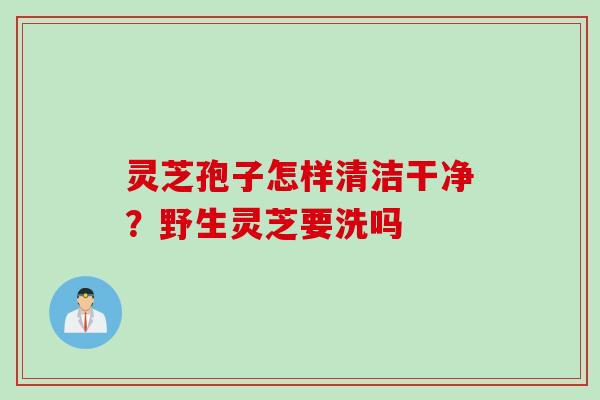 灵芝孢子怎样清洁干净？野生灵芝要洗吗