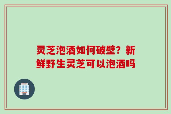 灵芝泡酒如何破壁？新鲜野生灵芝可以泡酒吗
