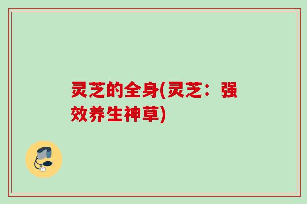 灵芝的全身(灵芝：强效养生神草)